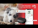 DogTrace short GPS X20 - Collar GPS + Cargador  (copia)