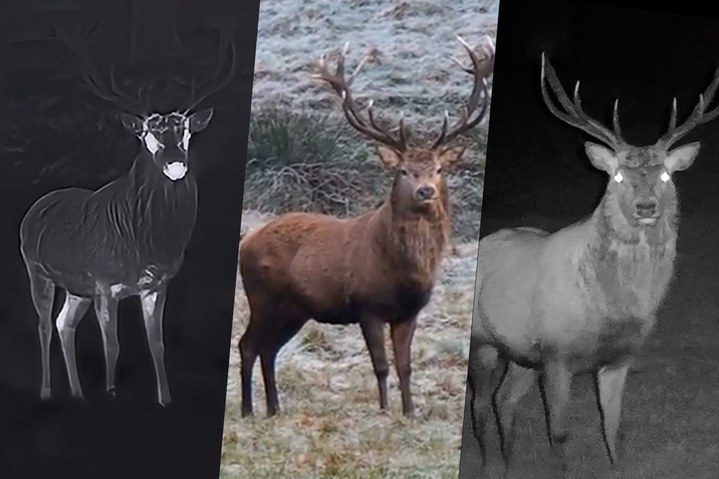 HIKMICRO HABROK 4K HE25L 2.0 - Binoculares térmicos multiespectro con telémetro + IR 850 940 nm