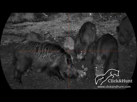 PARD Night Stalker 4K EX - Visor Nocturno 