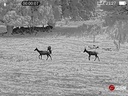 Guide TD635L con APEX Visión- Monocular Térmico