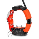 DogTrace GPS X30 T - Collar + Módulo Educativo