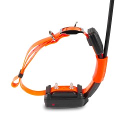 DogTrace GPS X25-T Short - Collar GPS y Educativo + Cargador