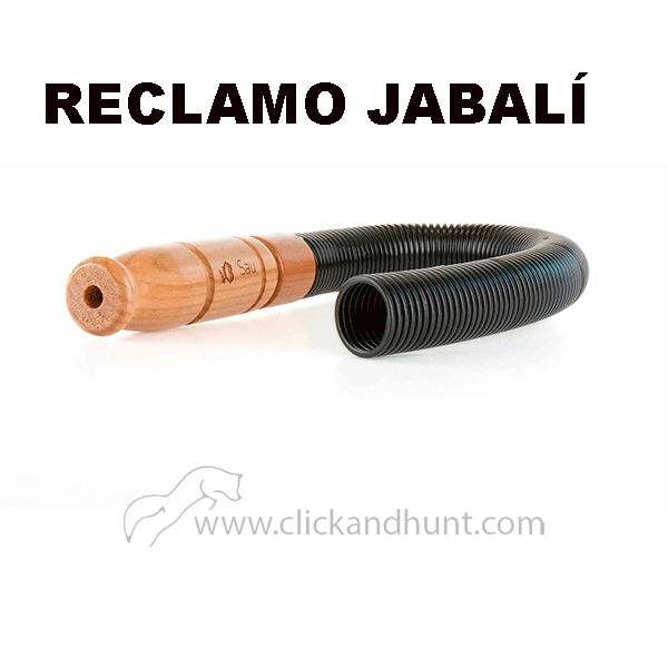 [CH13162] Reclamo Jabalí Eifel