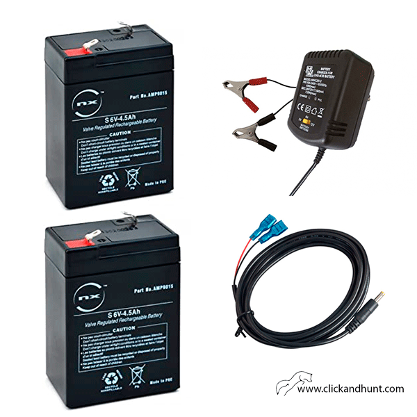Pack Batería 6V con Cable conexión y cargador 