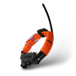 DogTrace GPS X25-TB - Collar + Cargador + Bocina + Módulo Educativo