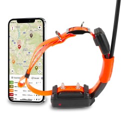 DogTrace GPS X30-T Short - Collar GPS y Educativo + Cargador