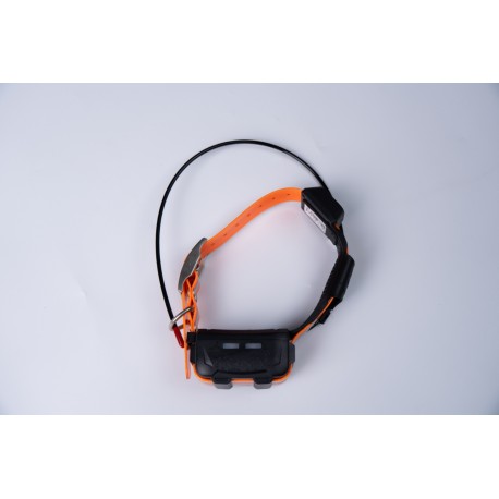 eSEEK GPS Hound Tracker T25 - Collar Adicional